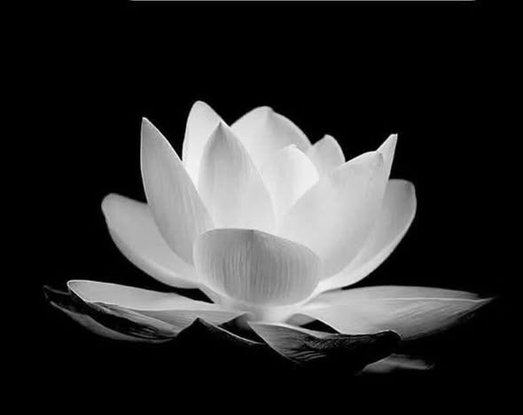 Chung cư The Sun Avenue – Quận 2