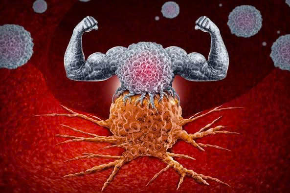 Cả thế giới mở tiệc ăn mừng vì mới phát hiện ra loại rau có khả năng chống UT gấp trăm lần thuốc đặc trị , Ở Việt Nam mọc đầy ra