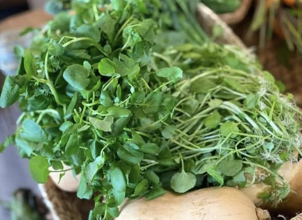 Chợ Việt có loại rau 10.000/bó, là “trùm cuối” chống UT được cả thế giới công nhận