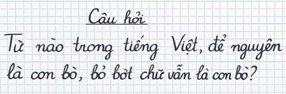 Câu đố: Từ tiếng Việt nào để nguyên là con bò, bỏ bớt chữ vẫn là con bò? Đáp án tưởng khó mà rất dễ