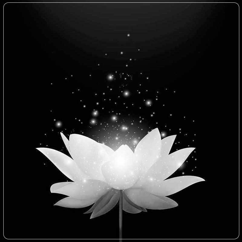 MẸ ĐƠN THÂN Ở TRỌ ĐÊM NÀO CŨNG CÓ ĐÀN ÔNG RA VÀO, CHỦ TRỌ NGHI NGÕ BẢO CẢNH SÁT, ĐẾN KHI CẢNH SẤT ẬP TỚI PHÁ CỬA XÔNG VÀO